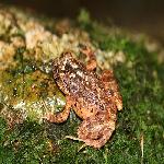 ������ҵ